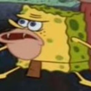 Meet your Posher, Punky